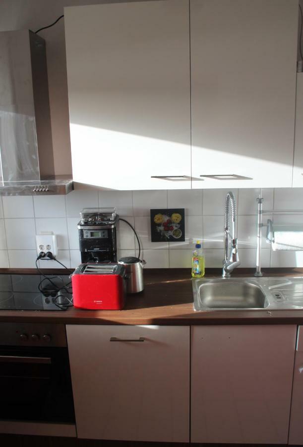 Ziebigk Appartement Deluxe Dessau-Rosslau Exteriör bild