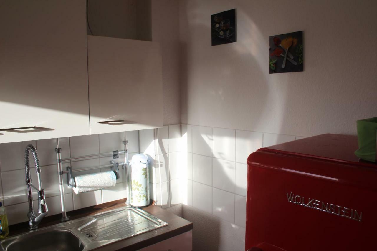 Ziebigk Appartement Deluxe Dessau-Rosslau Exteriör bild